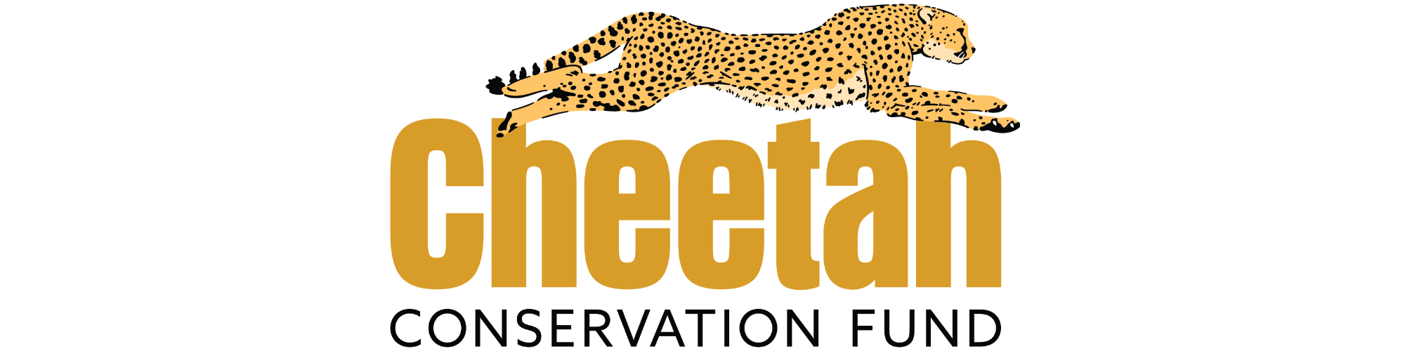 Cheetah-logo